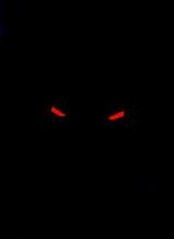 Guest_FeralShadows