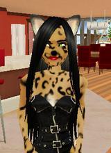 Guest_djchey13