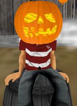 Guest_TheCityCowboy