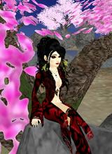 Guest_Tartza