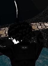 Guest_DI3IN