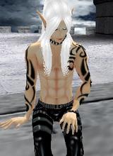 Guest_Aneirin