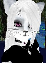 CatLover17