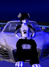 Guest_Wolfenheart1