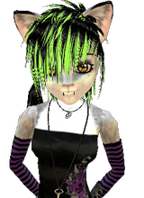 Guest_Scitz