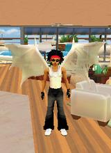 Guest_sque
