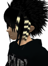 avatar picture