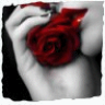 Guest_aldalo3aa