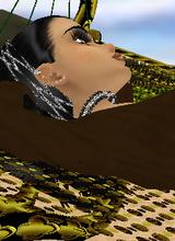 Guest_habebty