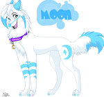 Guest_moonwolfblue