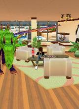 Guest_jaden963