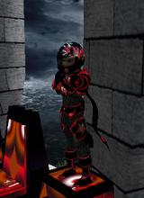 ttj427