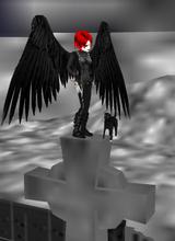 Guest_LaraCH