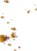 Guest_Crumbs