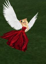 Delia2
