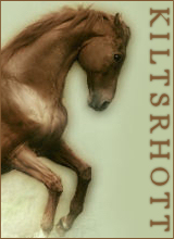 Guest_kiltsrhott