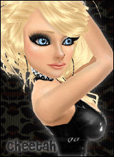 Cheetah