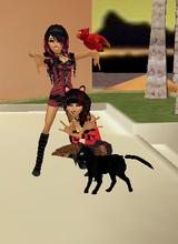 avatar image
