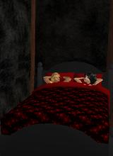 Guest_Daniel0604