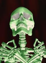 Isador