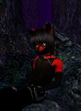 Guest_malkavianfox