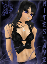 NiteSlave