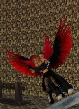 Guest_avatar81