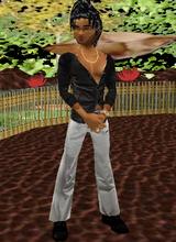 henk2008