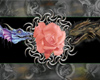 Guest_cant8touch8this