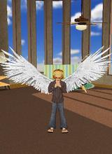 Guest_denz00