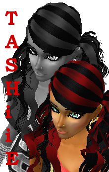 TashTash13
