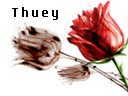 Guest_Thueyy