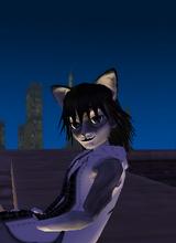 Guest_direwolf240