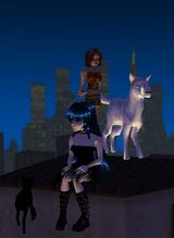 Guest_Courkie_disabled_4328340