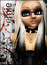 avatar picture