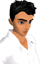 Norvo_disabled_4419478