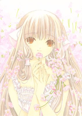 Guest_himenia