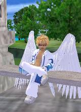 Guest_nickyjo