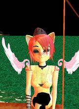 KittenKat105