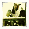 Guest_puppylove15