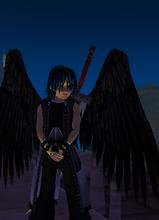 Guest_Roy2352