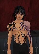 Guest_OrionGLM