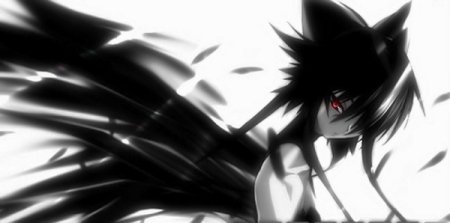 Guest_kat704