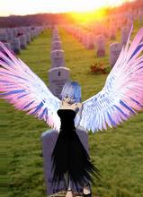 Guest_xDahlia