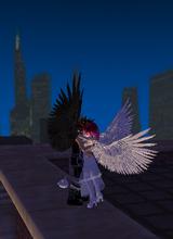 Guest_kian0831