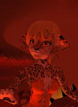 Guest_Orko