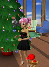 Guest_tapeoka