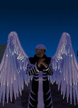 avatar picture