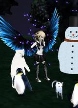 avatar picture