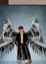 Guest_carlp06